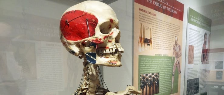 موزه بین المللی علوم مربوط به عمل های جراحی در شیكاگو