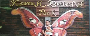 پارک پروانه کمنو بالی اندونزی
