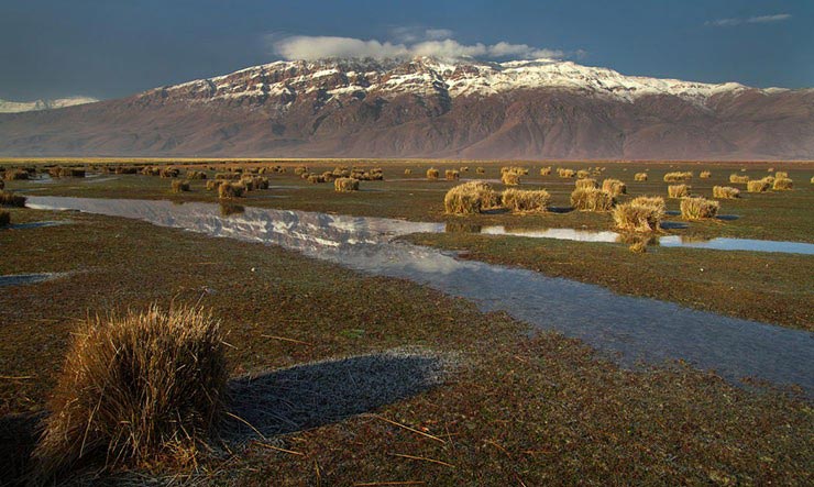 تالاب گندمان