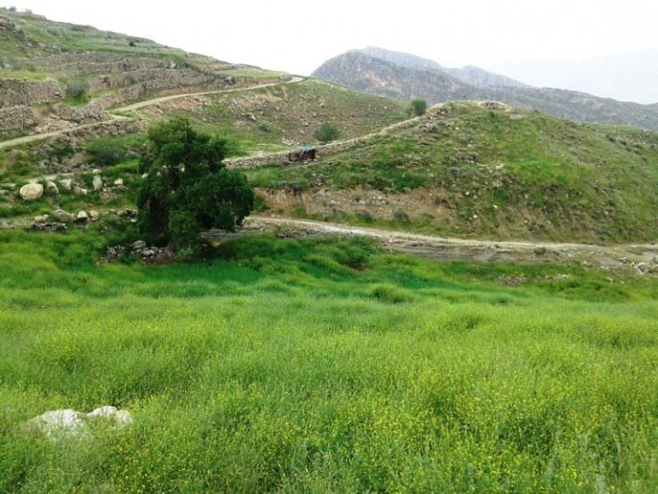 روستای دوان کازرون خوزستان - بلاگ ایران هتل آنلاین