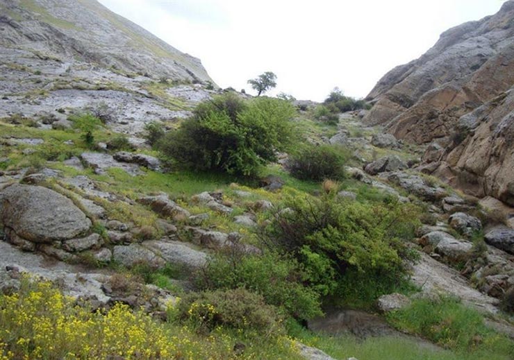 جاهای دیدنی میاندوآب 3 میاندوآب