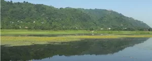 دریاچه ی کومله گیلان