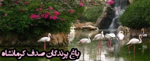 باغ پرندگان کرمانشاه، نگینی در خاورمیانه