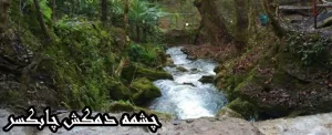 چشمه دمکش چابکسر