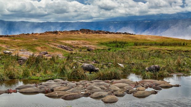 دهانه آتشفشانی انگورونگورو، تانزانیا