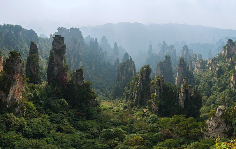 پارک ملی جنگل ژانگ جیاجی