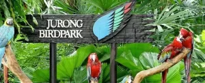 باغ پرندگان جورونگ سنگاپور