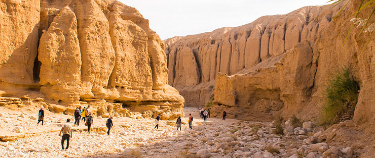 بند شاه عباس  طبس