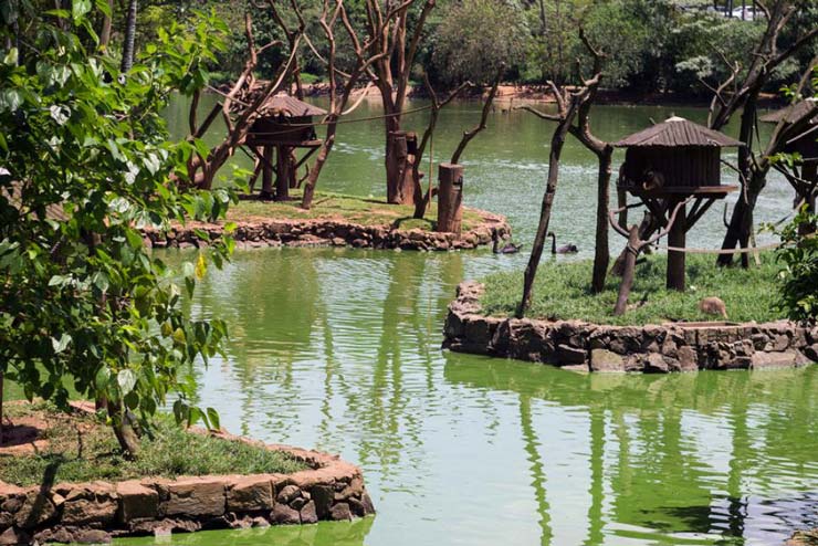 Sao Paulo Zoo