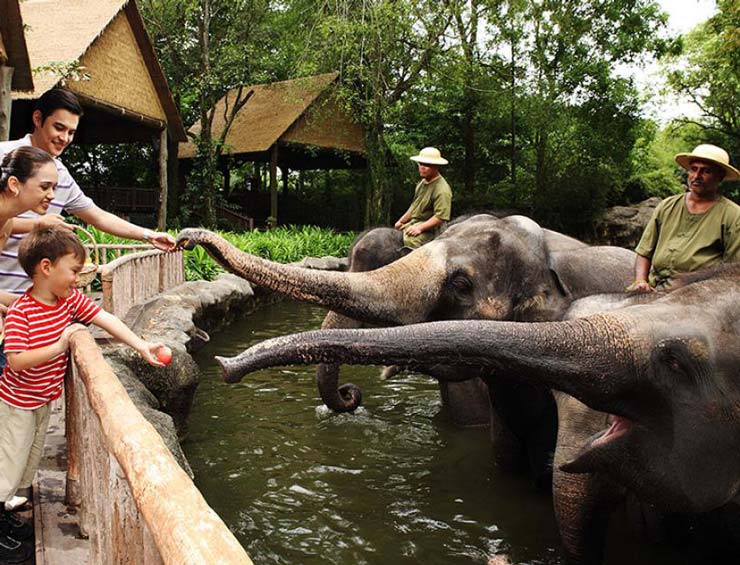 The Singapore Zoo