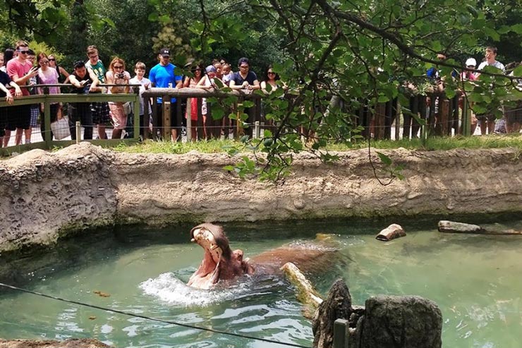 Toronto Zoo