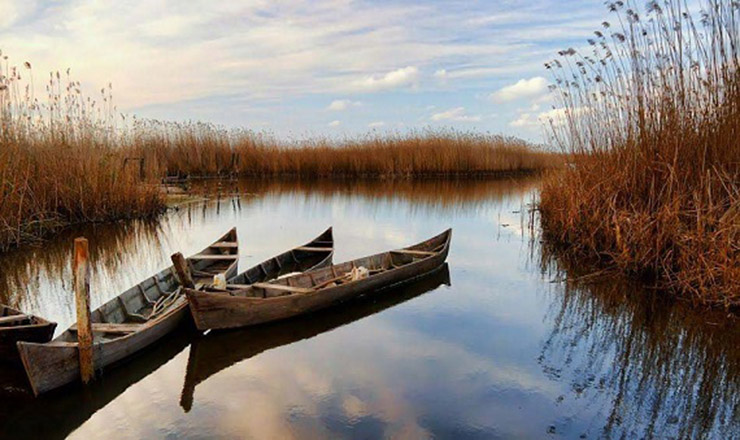 بندر کیاشهر (1404) ⚡ پیوند طبیعت سبز با ساحل - بلاگ ایران هتل آنلاین