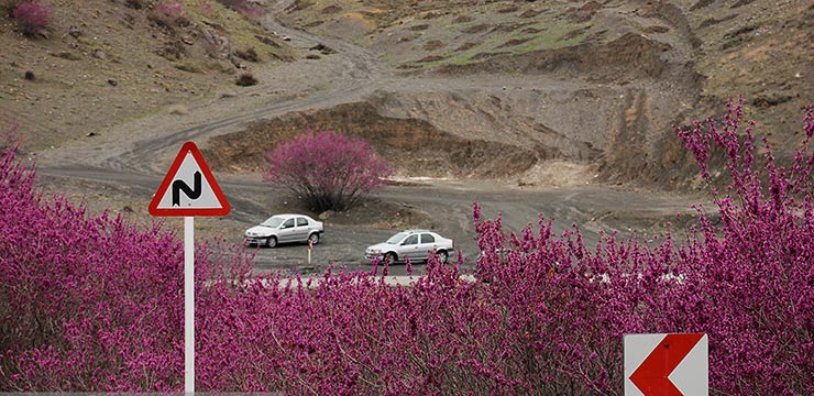 دره ارغوان مشهد 