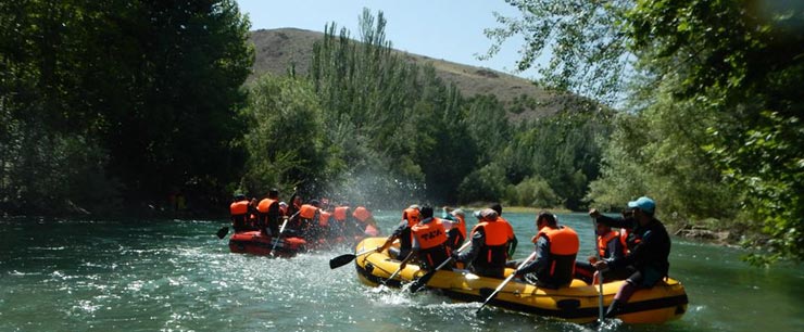 رفتینگ در ایران