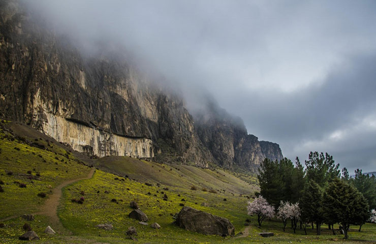 بیستون