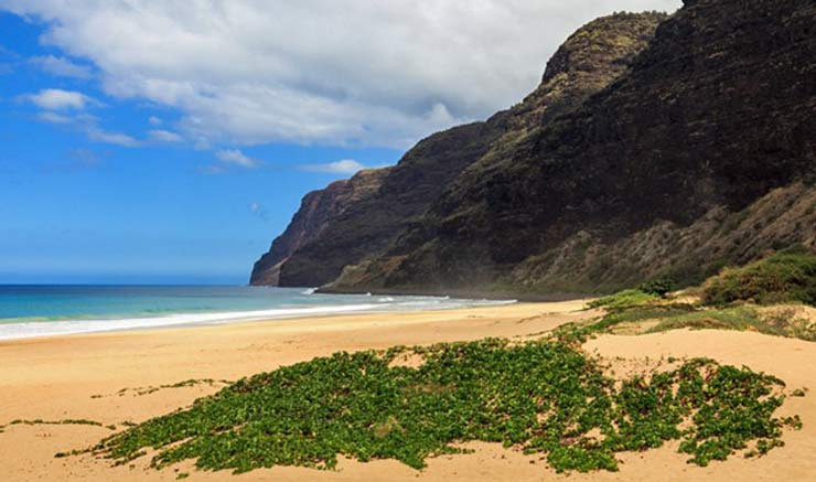  Polihale State Park