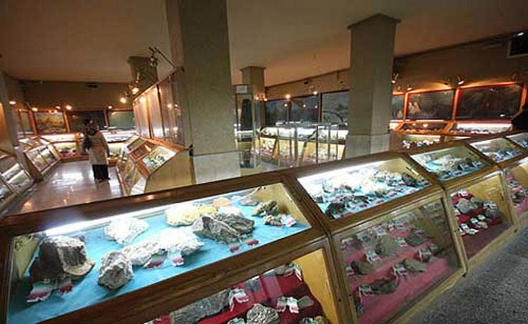 موزه تاریخی طبیعی همدان