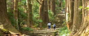 پیاده روی در کومانو کودو - مسیر های زیارتی باستانی ژاپن