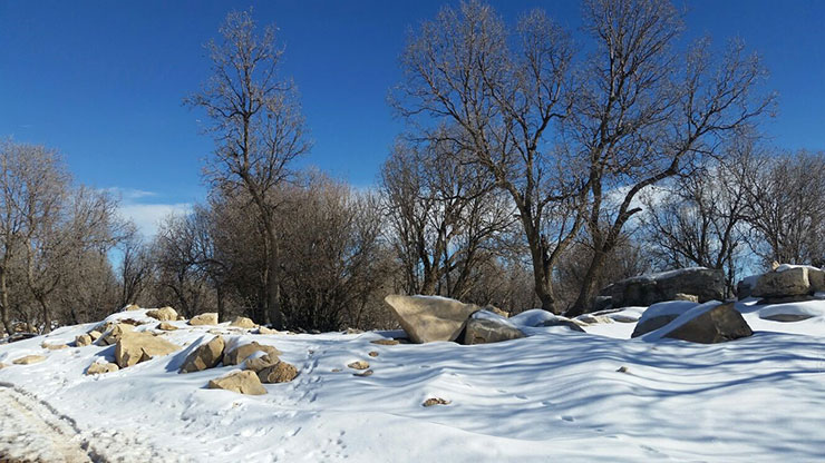 روستای پامنار