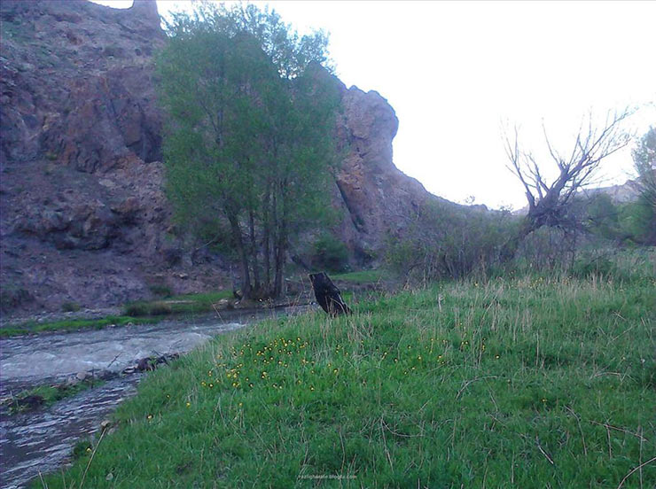 نمایی زیبا از روستای تاریخی «رازلیق