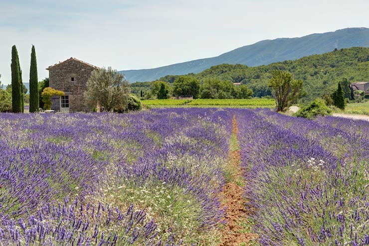 Luberon 