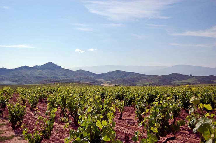 Rioja Wine Region