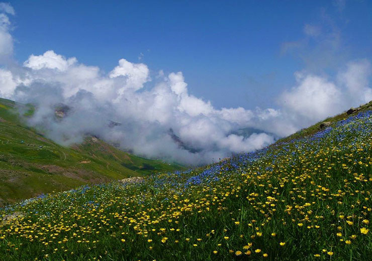 دریاچه نئور 