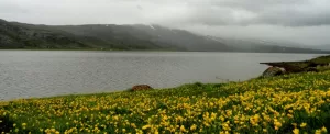 دریاچه نئور اردبیل