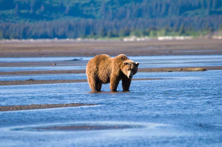  Katmai National Park