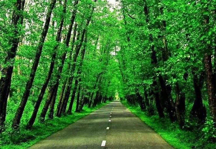 talesh road