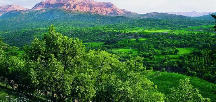 روستای سرمرغ سفلی در خرم آباد