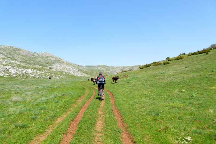 Galicica National Park