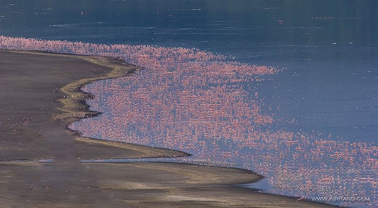 دریاچه bogoria