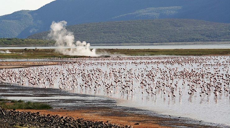 دریاچه bogoria