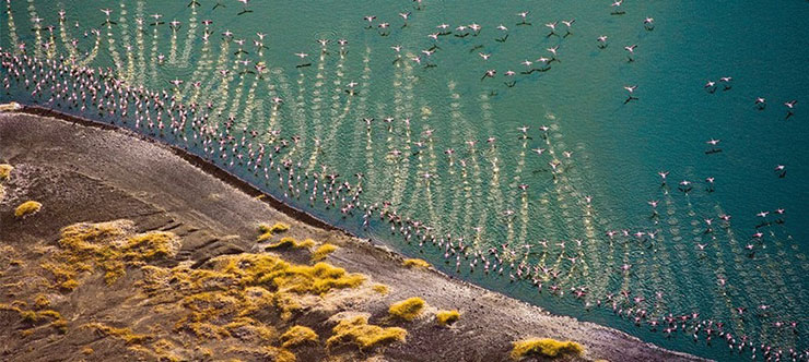 دریاچه bogoria