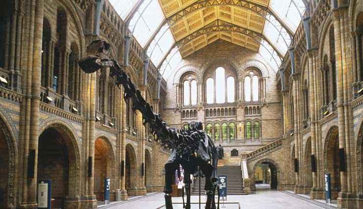 The Natural History Museum