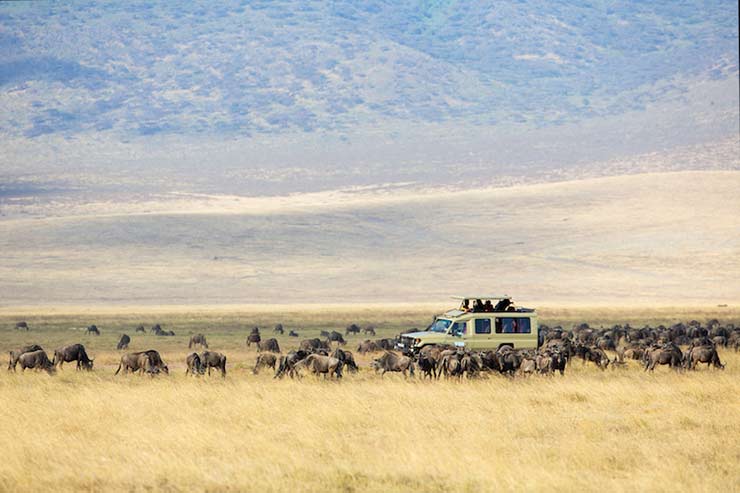 Ngorongoro Conservation Area