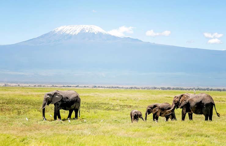 Mount Kilimanjaro