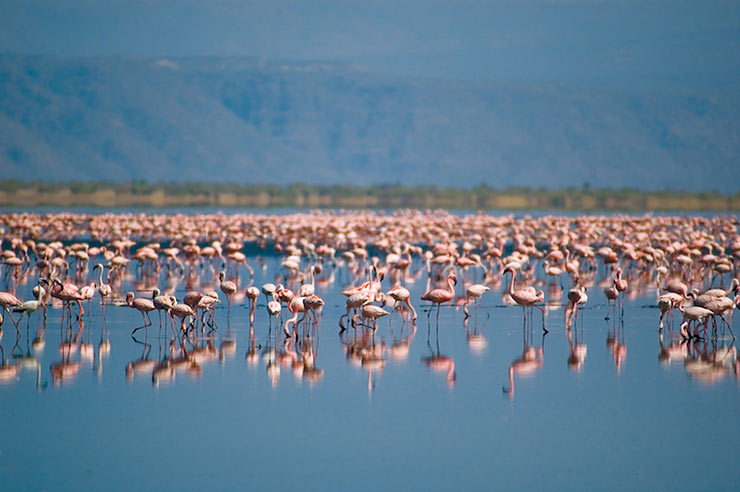 Lake Natron