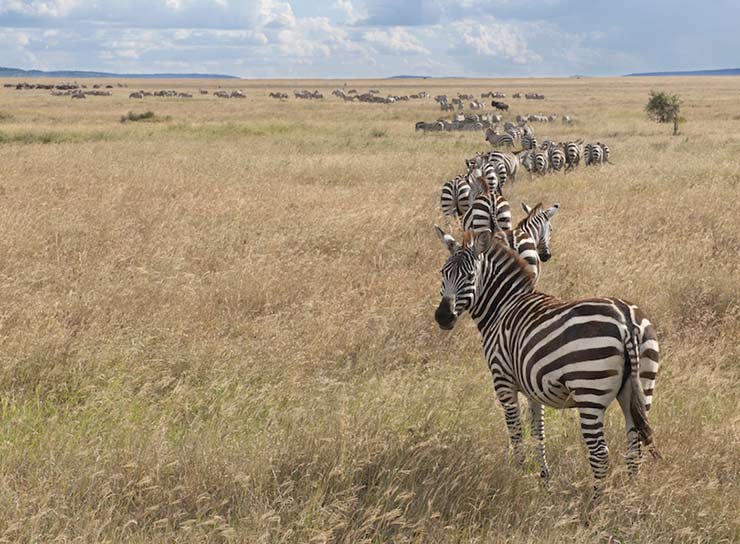 Serengeti National Park