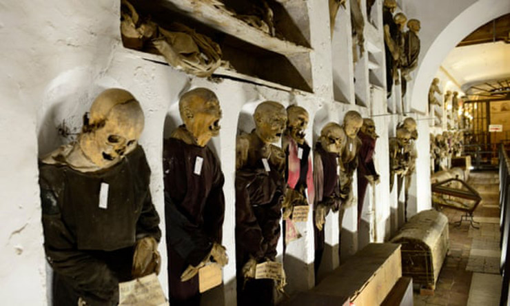 موزه میکروپیا در آمستردام