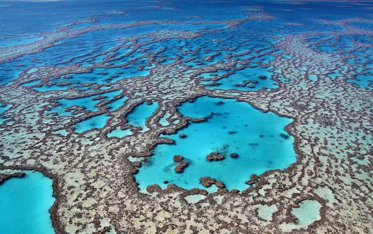  Great Barrier Reef