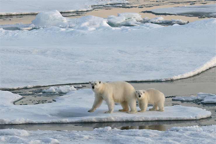 Svalbard