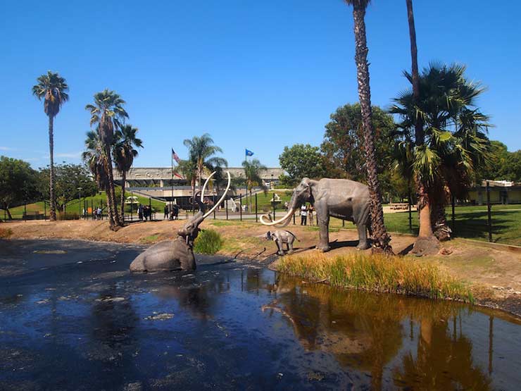 La Brea Tar Pits & Page Museum