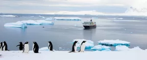 قطب جنوب، سفر با کشتی کروز به قعر دنیا