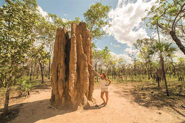 Litchfield National Park, Northern Territory, Australia