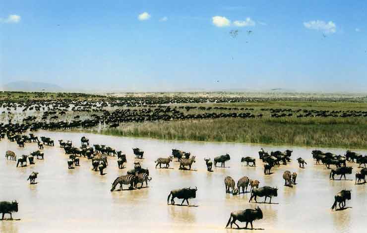  Serengeti National Park