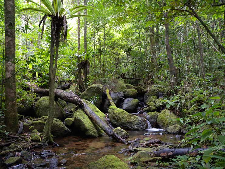  Masoala National Park