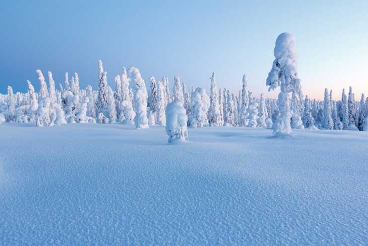 Äteritsiputeritsipuolilautatsijänkä