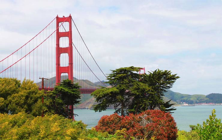  Be sure to walk over the Golden Gate Bridge